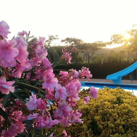 La Mandriana Villa มัสซามาริตติมา ภายนอก รูปภาพ
