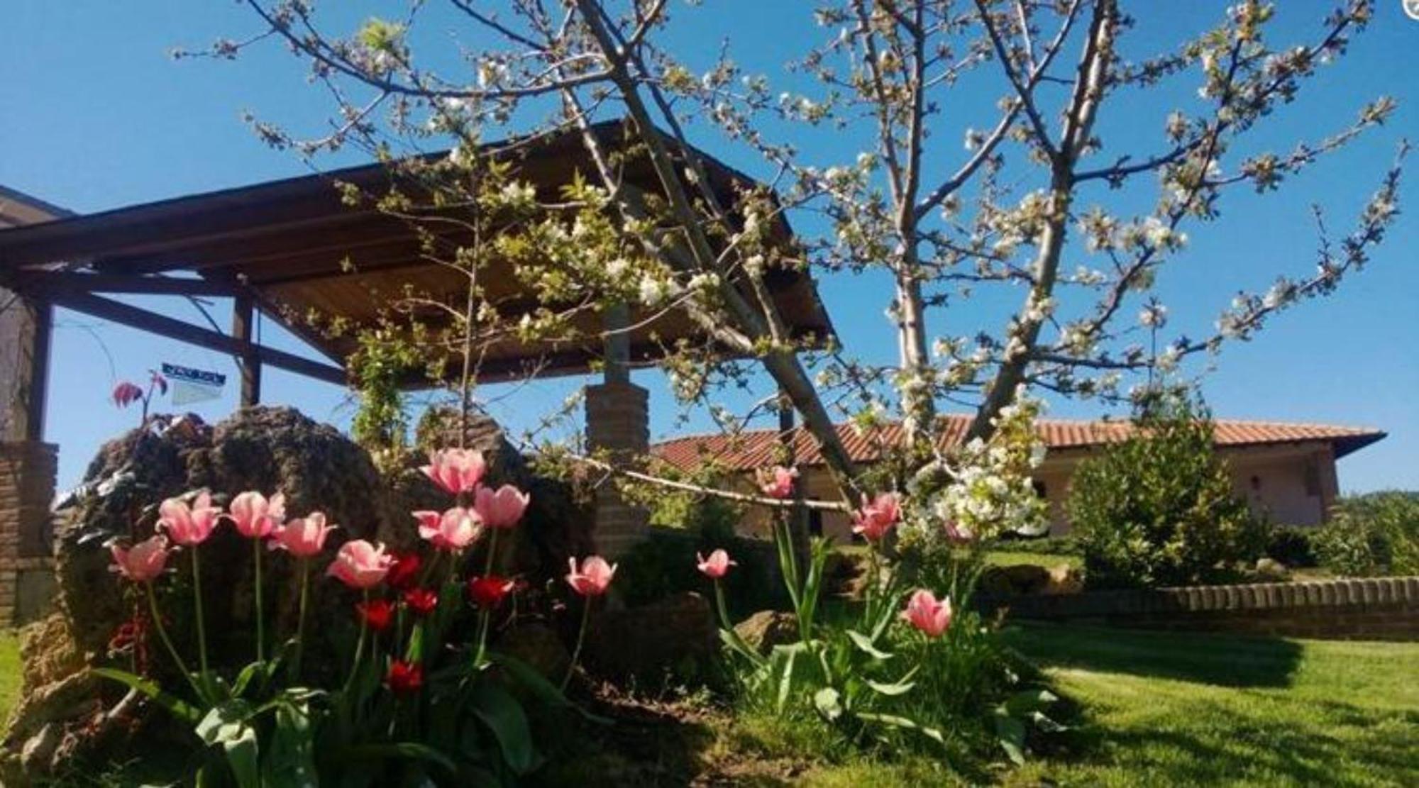 La Mandriana Villa มัสซามาริตติมา ภายนอก รูปภาพ