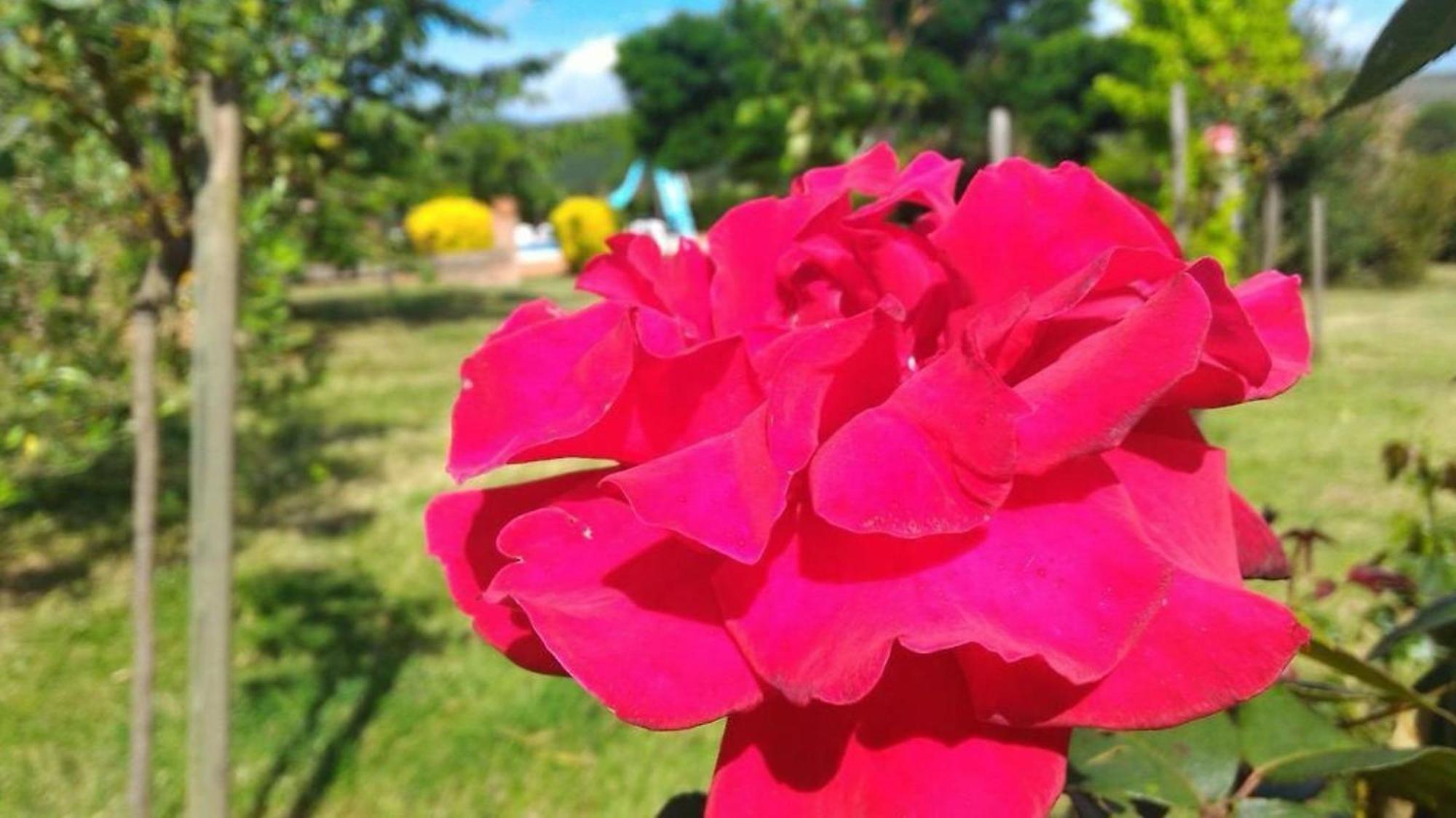 La Mandriana Villa มัสซามาริตติมา ภายนอก รูปภาพ