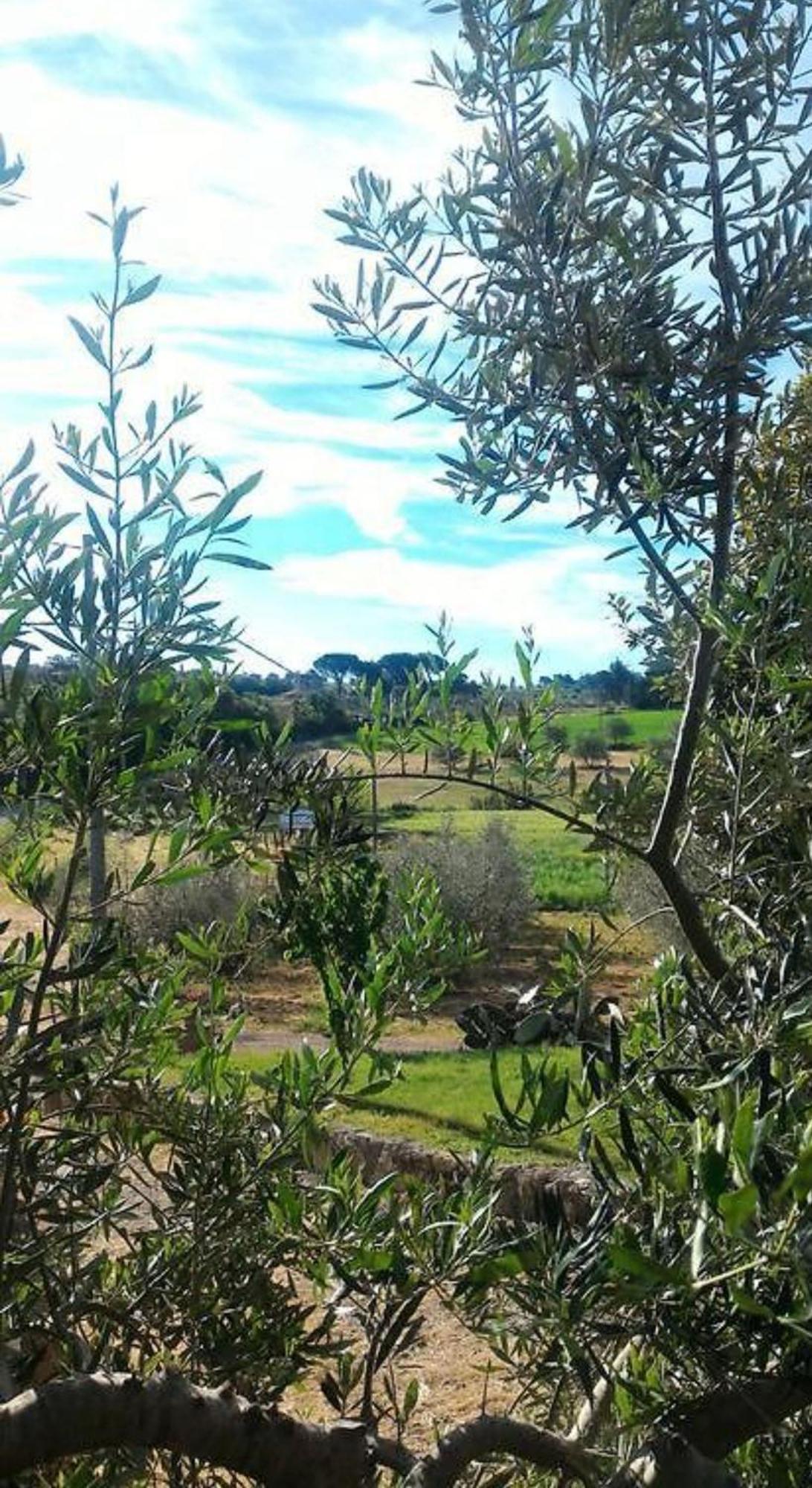La Mandriana Villa มัสซามาริตติมา ภายนอก รูปภาพ
