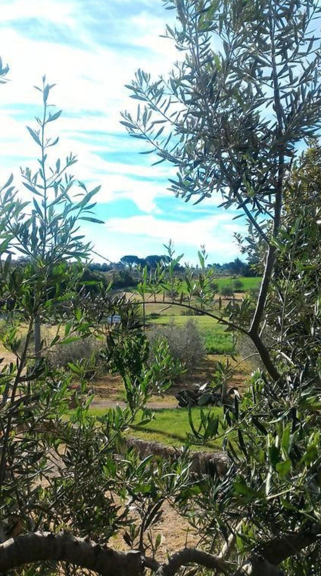 La Mandriana Villa มัสซามาริตติมา ภายนอก รูปภาพ