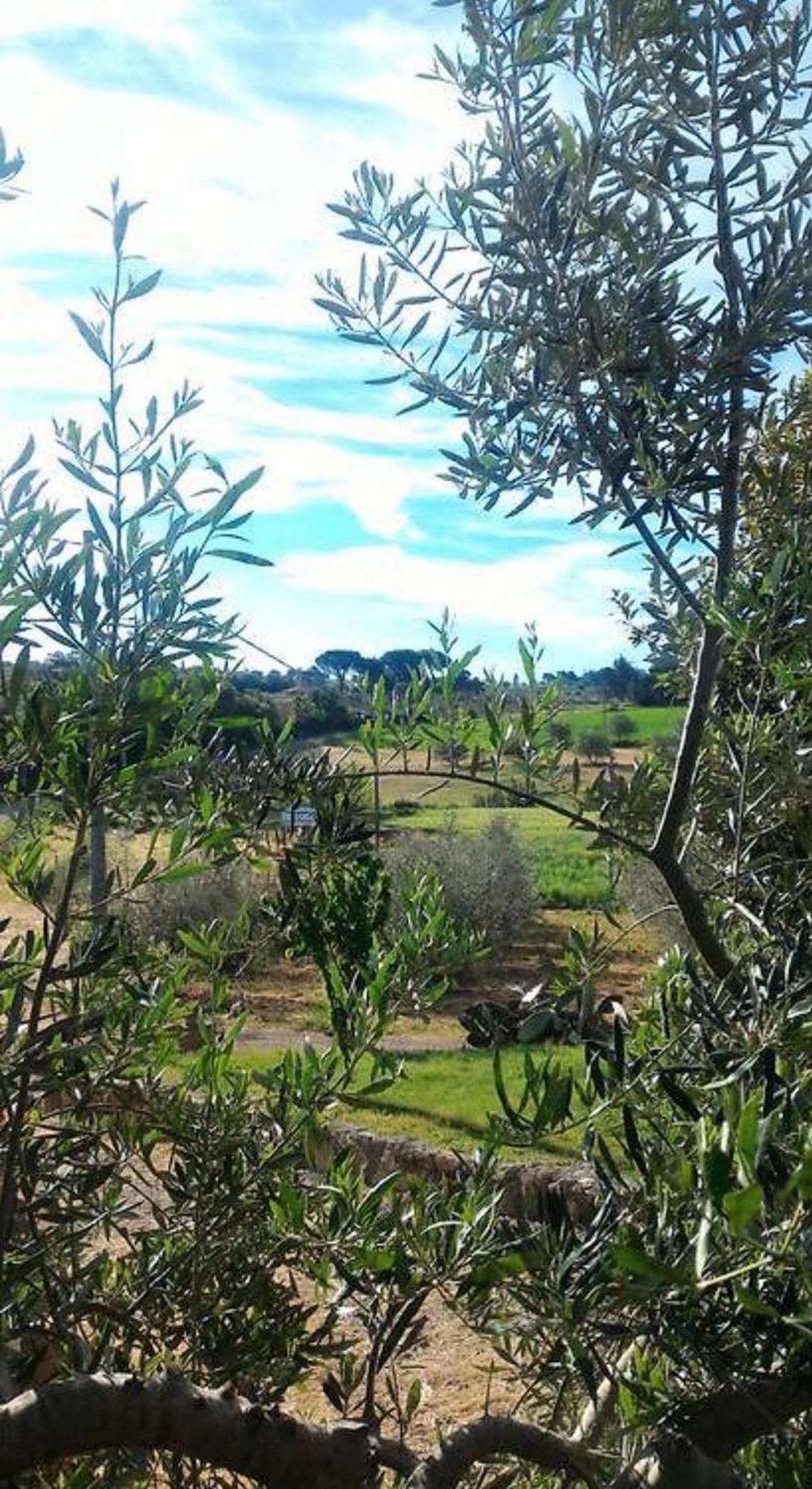 La Mandriana Villa มัสซามาริตติมา ภายนอก รูปภาพ